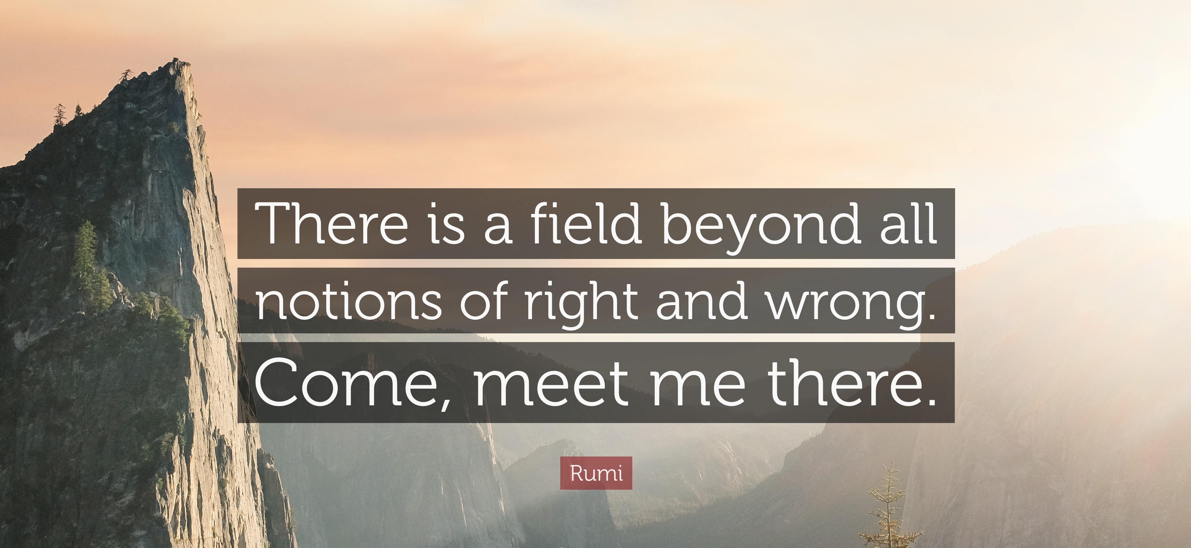 131695-Rumi-Quote-There-is-a-field-beyond-all-notions-of-right-and-wrong