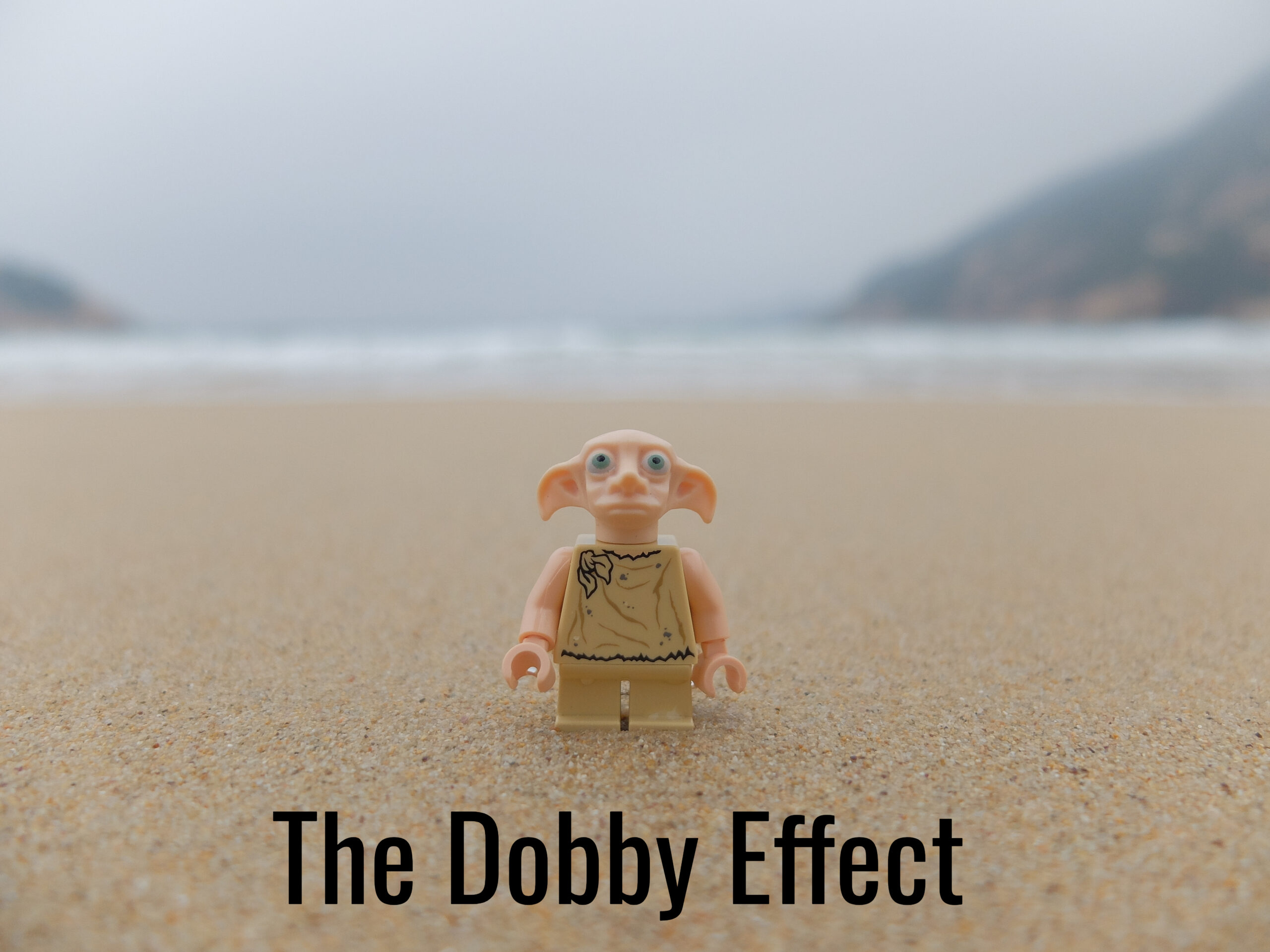Harry Potter Fans Lay Down Some Harsh Opinions On Dobby
